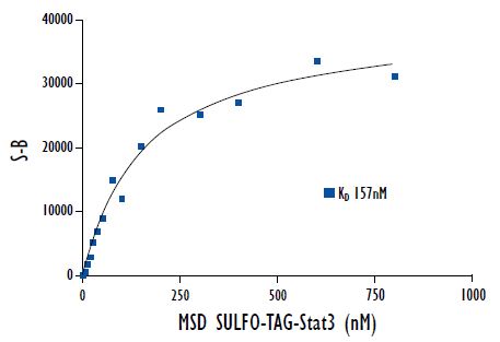 Binding of Stat3 to Stat3-Derived Phosphopeptide